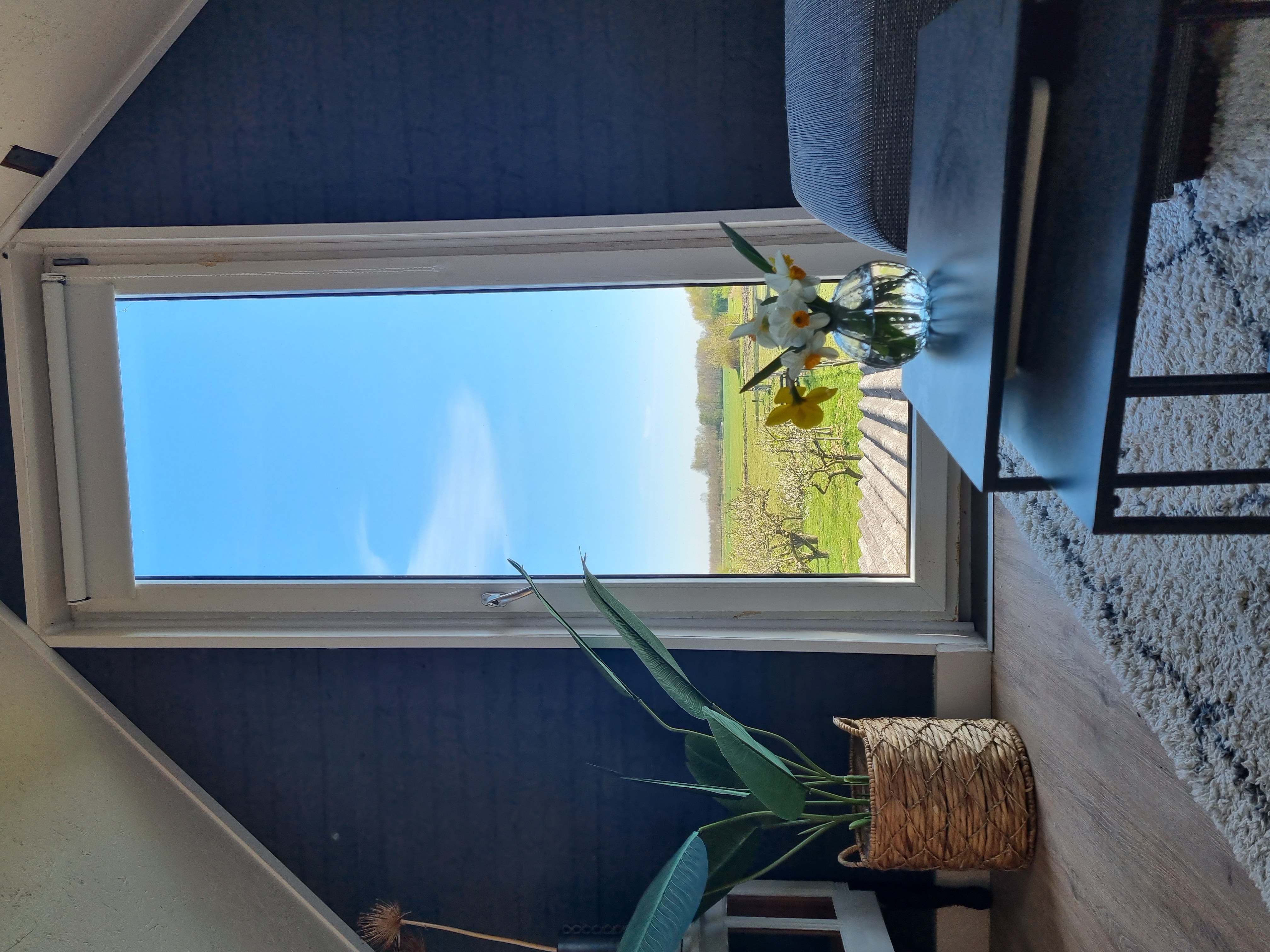Kamer 3 in Bed & Breakfast De Schapenzolder